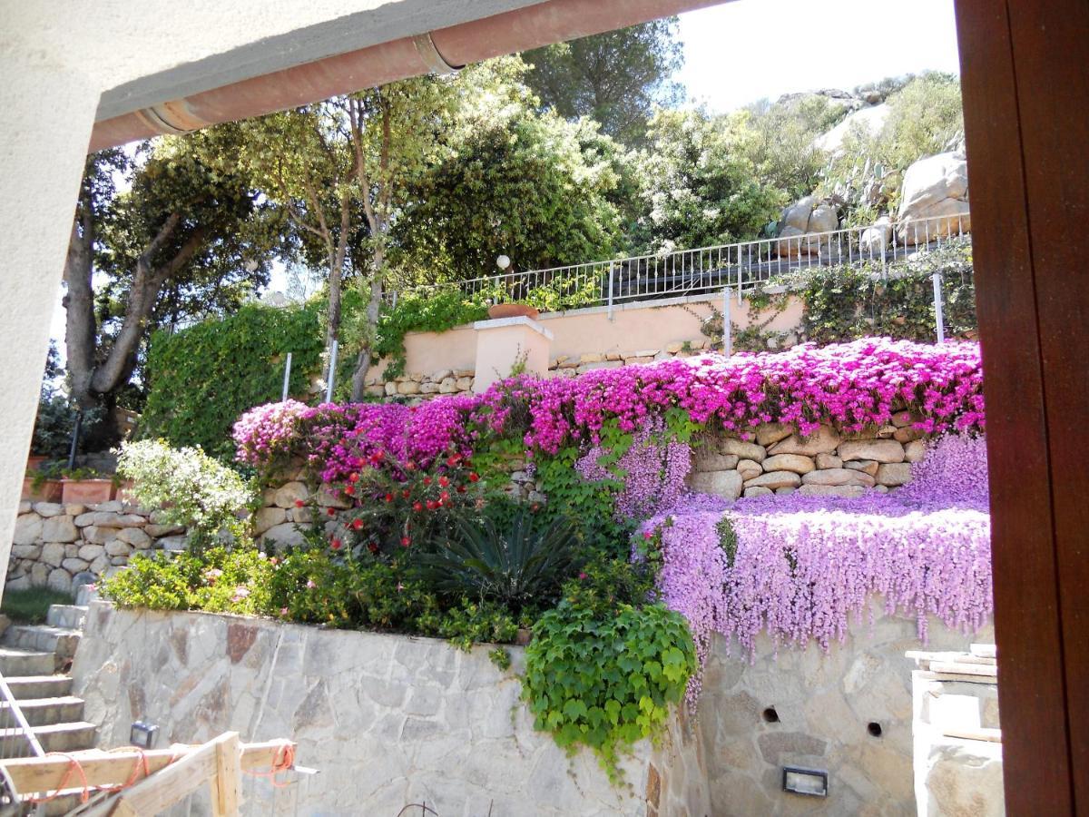 Residence Borgo Punta Villa ラ・マッダレーナ エクステリア 写真